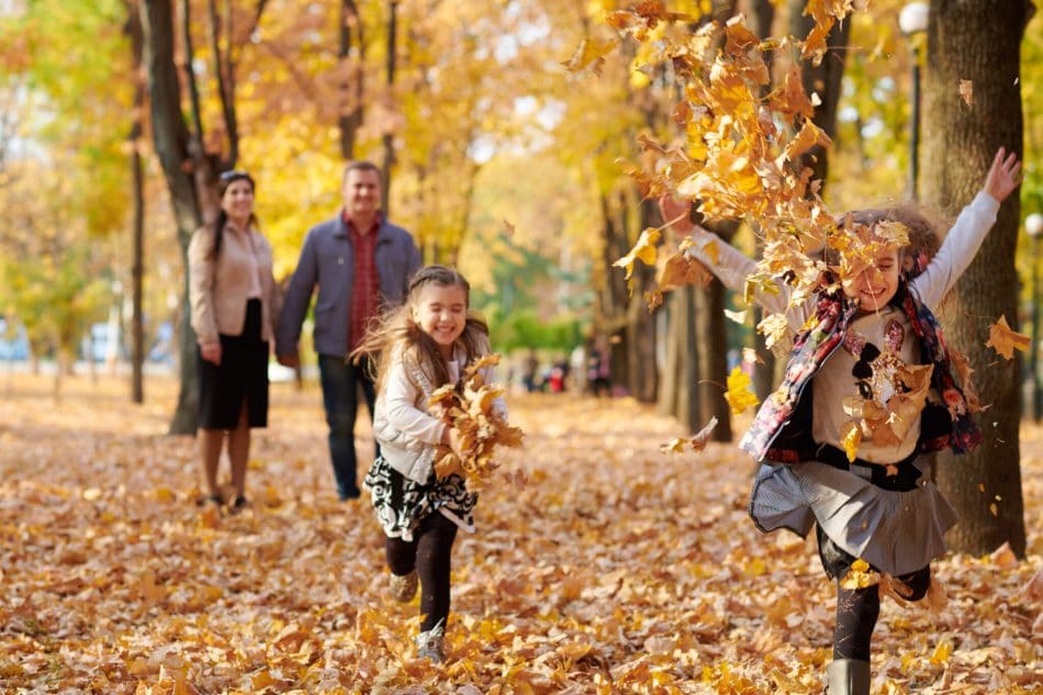 https://cdn.gabb.com/wp-content/uploads/2019/10/AdobeStock_233529256-950x633.jpeg