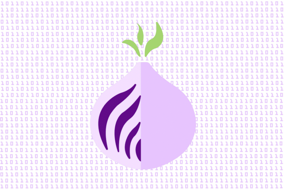 https://cdn.gabb.com/wp-content/uploads/2024/09/Tor-onion-router-1-950x634.png